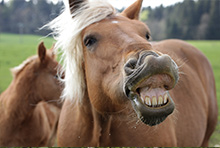 Doubs Jura Doubs Jura