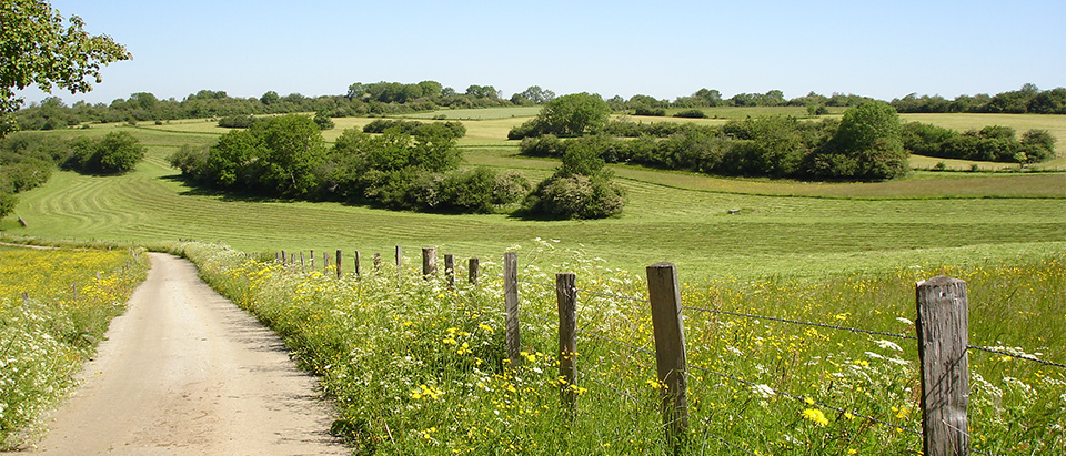 Notre campagne : Le temps des foins